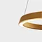 Ring pendant light,Ring pendant and pendant light